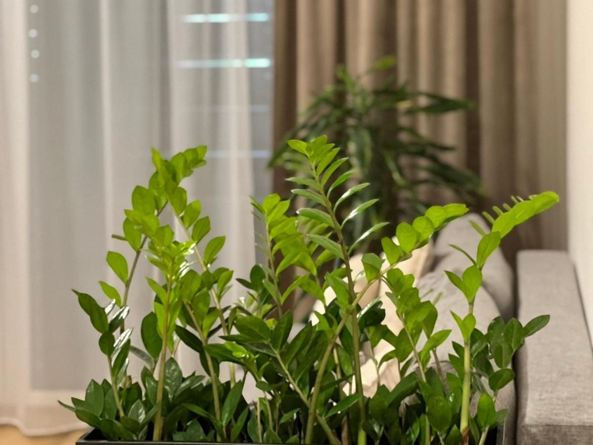 M&M2 Apartment Near Center With Free Parking - Ac كَشّا المظهر الخارجي الصورة